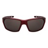 Edge I-Wear Wrap Style Sport Sunglasses Men Women Tinted Lens