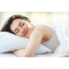 Comfort Beddings Export Quality Pillowcases 100% Cotton Blend Square Pillow