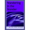 Wandering in the Wonder