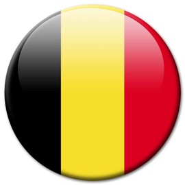 Kühlschrankmagnet Flagge Belgien Magnet Länder Flaggen Reise Souvenir für Kühlschrank stark groß 50 mm
