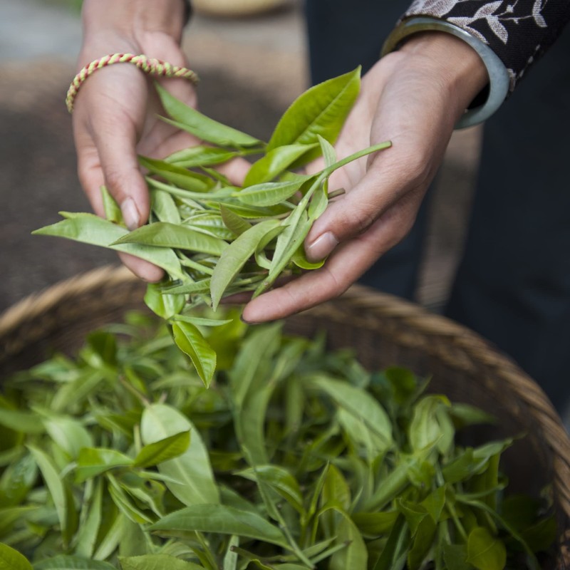 Palais des Thés - Tea of Lords - Earl Grey