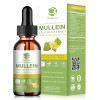 Mullein Leaf Extract Drops, Vegan Liquid Herbal Supplement, Supports Respiratory