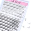 Lash Clusters LAUBESS Eyelash Clusters Individual Lashes Mixed Tray Cluster