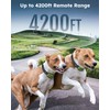 Jugbow Dog Shock Collar 2 Dogs (10-120Lbs) - 4200FT Dog
