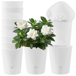 APACALI Pack of 12 Self-Watering Flower Pots, 7.5 cm Self-Watering Pot with Water Level Indicator, Herb Pot Kitchen with Watering System, Flower Pot for Indoor and Indoor Use and Balcony
