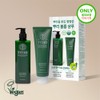 Titaned [Cheongdam Shop Pick] Titaned Lemon Balm Root Volume Shampoo
