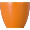 Rosenthal Thomas Sunny Day Eierbecher Orange [SP] UVP: 11,00 €"