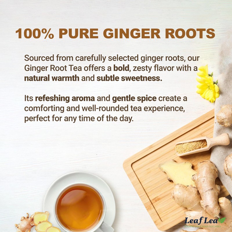 LeafLea 120 Ginger Tea Bags, 100% Pure Ginger Root Herbal