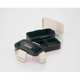 Skater PFLW4AG Ag+ Antibacterial Fluffy 2-Tier Lunch Box, 20.3 fl oz (600 ml), Fine Style, Black, Made in Japan