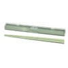 Sabu 363924 Copelt Antibacterial Chopsticks & Case 20 Mint
