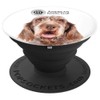 AKC Spinone Italiano Photo PopSocket