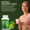 FRESHDRINKUS, Premium 200 Soursop Capsules, 4000mg per Serving, 100 Days