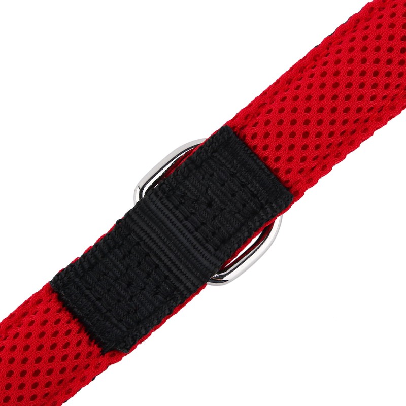 Snootiful Hound Secure Double Ended Dog Lead With Locking Clip