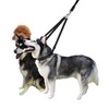 Triple Dog Lead Leash Dog Lead for 3 Dogs Dog