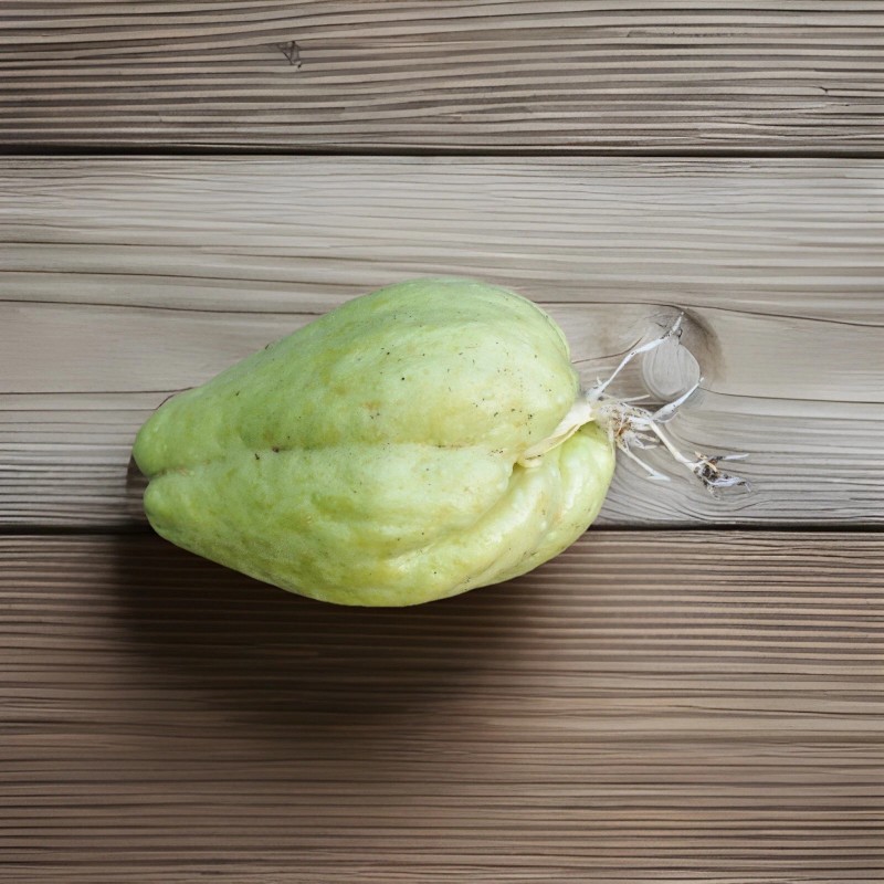 2 Sprouted Chayote Squash Mirliton Live Plant Ready To Plant