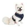 Soft Harness Pro - Navy - M