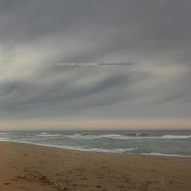 American Aquarium - Chicamacomico (2022 Indie Green/Black Smoke LSR0016)