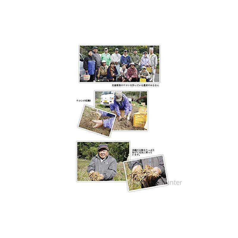 沖縄県産品 春ウコン粉末(袋) 100g