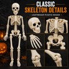 2 Pcs Posable Halloween Skeleton for Spooky Decorating – 15.7-Inch