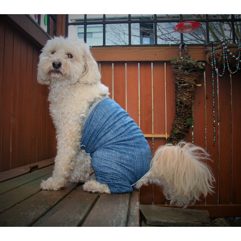 Mozzie Pants MOPBLUE Original Dog Pants, Medium