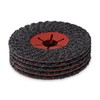 BHA Silicon Carbide Semi-Flexible Masonry and Coating Removal Sanding Disc,