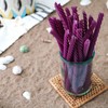 Red Vines Licorice, Grape Flavor Twists, Soft & Chewy Candy,