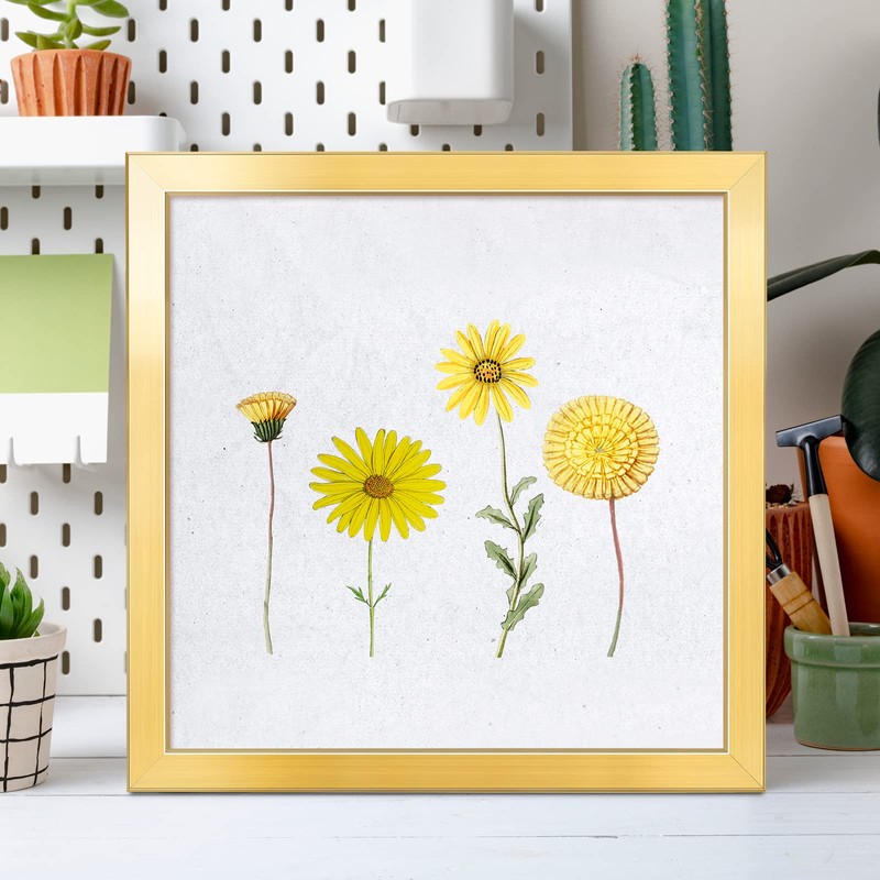 LaVie Home 20 x 20 Picture Frame, Square Poster Frame