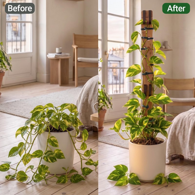 2 Sets Wooden Extendable Plant Trellis Indoor Climbing Houseplants, 2-in-1