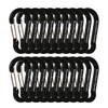 Boundless Voyage Carabiner with Storage Bag, Black, Set of 20