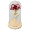 Rose in Glass Dome Lucky Beautiful Symbolism Romantic Enchanted Rose