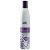 Shampoo Sellador Violeta Sin Sulfatos 320 ml