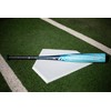 Rawlings | CLOUT Baseball Bat | USSSA | -8 |