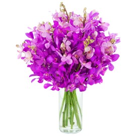 KaBloom Flowers - Mother's Day Collection -Moondance Purple Orchids (20 stems) - with Vase. Gift for Birthday, Anniversary, Get Well, Thank You, Easter, Mother’s Day Fresh Flowers