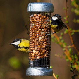 Jacobi Jayne Ring-Pull Click Small Peanut Feeder, zinc Bird