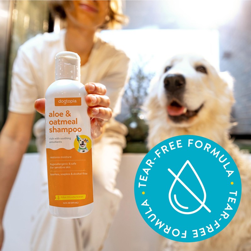 Everyday Aloe & Oatmeal Shampoo – Piña Colada Scent (16oz)