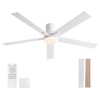 Rayqueen 60 Inch Ceiling Fans with Lights and Remote,Flush Mount