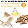 TEKIZOO Solar Glow UV Ultraviolet Light Basking UVB Reptile Light