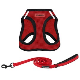 Voyager Step-in Air All Weather Mesh Harness and Reflective Dog 5 ft Leash Combo with Neoprene Handle by Best Pet Supplies - Red Base, M (Chest: 16-18"), 207TS-RDB-RD-M