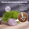Tomorotec Glass Plant Self Watering Globes 2-Pack Pearl Luster Clear