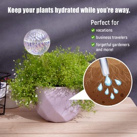 Tomorotec Glass Plant Self Watering Globes 2-Pack Pearl Luster Clear Iridescent Plant Watering Devices, Diamond Indent Pattern Self Watering Bulbs Planter Insert Decorative Vacation Watering Spikes