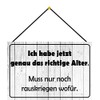 generisch Tin Sign 20 x 30 cm Curved with Cord