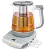 cglightwsparkle Health Pot Electric Kettle with Infuser，Smart Fruit Hot Tea