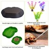Apatal Reptile Bathing Pool 7 Pcs Tortoise Water Dish with