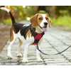 PoyPet No Pull Dog Harness, No Choke Front Clip Dog