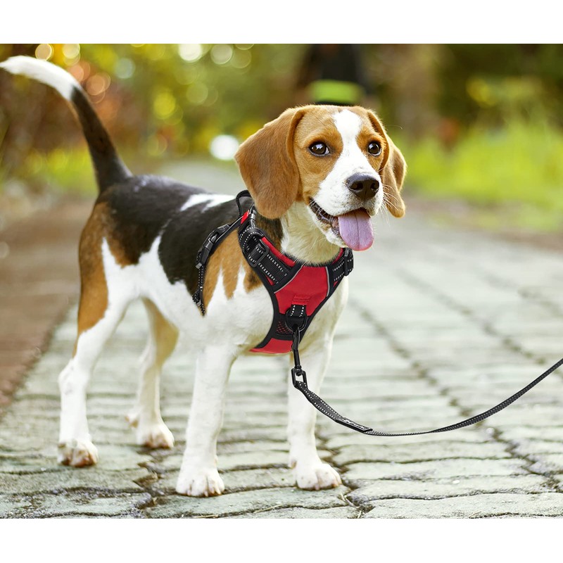 PoyPet No Pull Dog Harness, No Choke Front Clip Dog