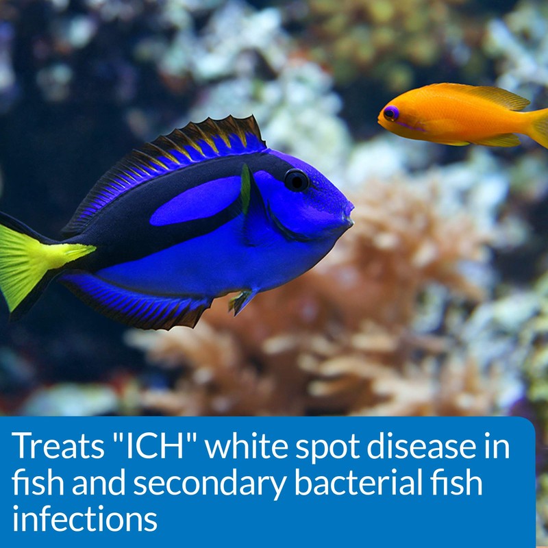 API Liquid Super ICK Cure Freshwater and Saltwater Fish Medication