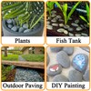 45 LB Mexican Beach Pebbles - 1-2 Inch Decorative River