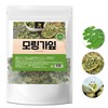 모링가잎 100g 모링가 효능 모링가차 Moringa Leaves 100g Moringa Benefits
