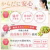 梅肉エキス 梅エキス 梅肉エキス粒 健梅粒 塩分不使用 和歌山県産 飲みやすい粒タイプ サプリメント 約120粒 30g