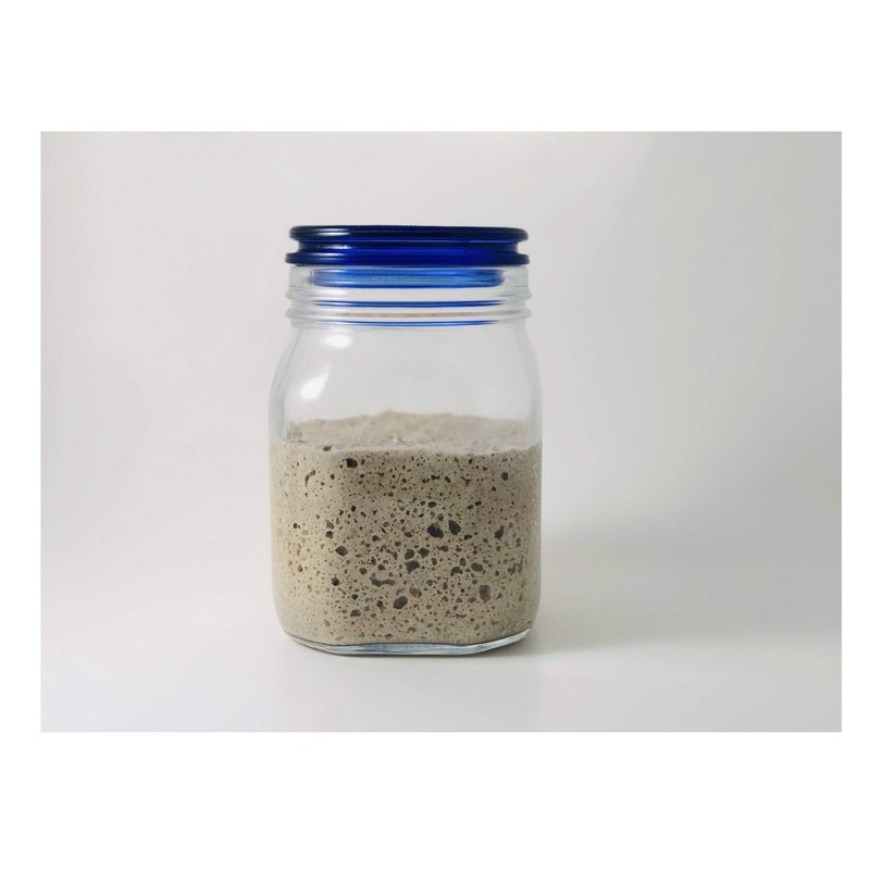 Swedish Rye Sourdough Starter Culture Bread Yeast